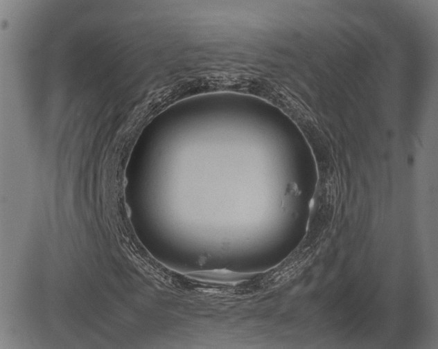 X0000085270961200703091348