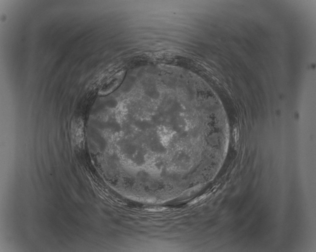 X0000085270963200703091348