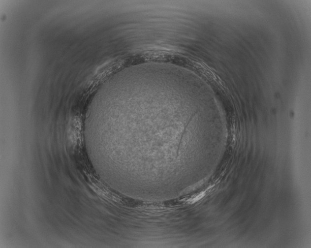 X0000085270964200703091348