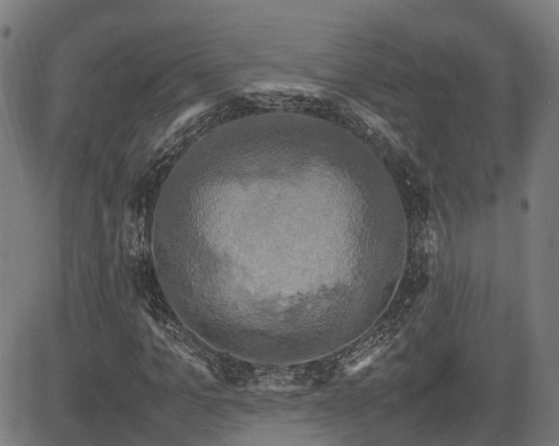 X0000085270965200703091348