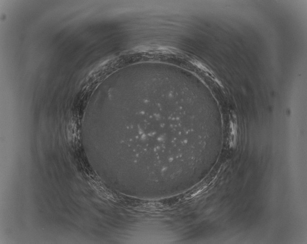 X0000085270966200703091348