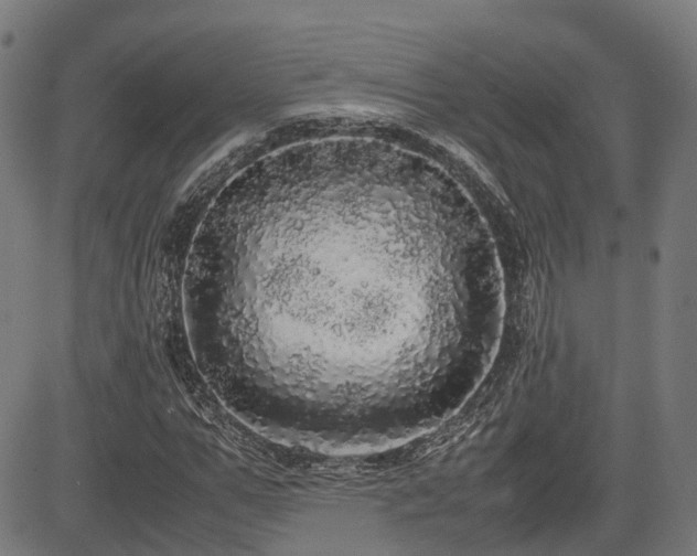 X0000085270967200703091348