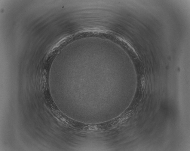 X0000085270968200703091348