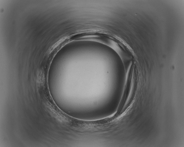 X0000085270969200703091348