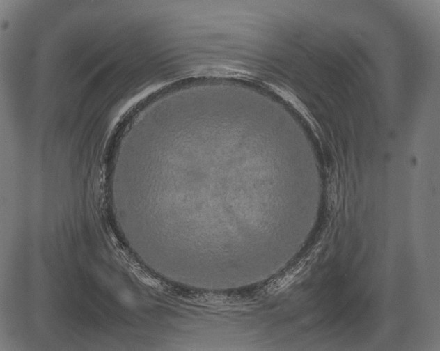 X0000085270971200703091348