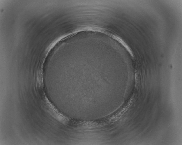 X0000085270972200703091348