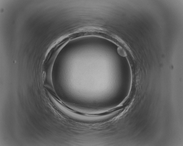 X0000085270973200703091347