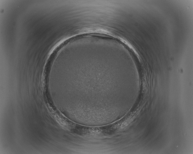 X0000085270975200703091347