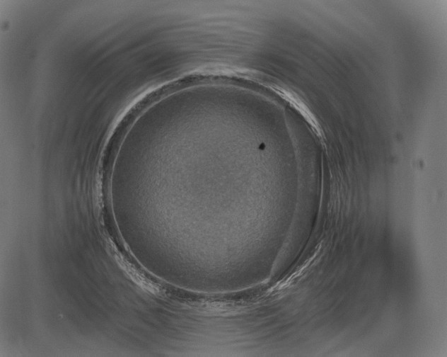 X0000085270976200703091347