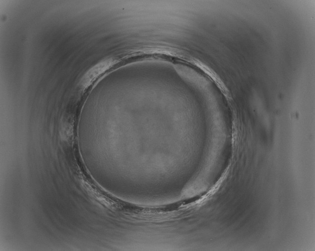 X0000085270977200703091347