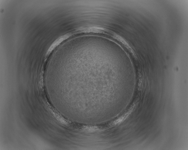 X0000085270978200703091347