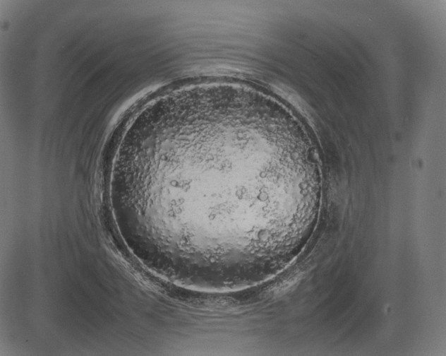 X0000085270979200703091347