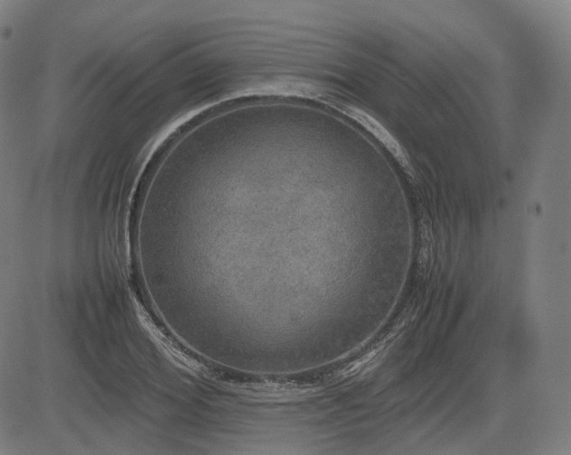 X0000085270980200703091347