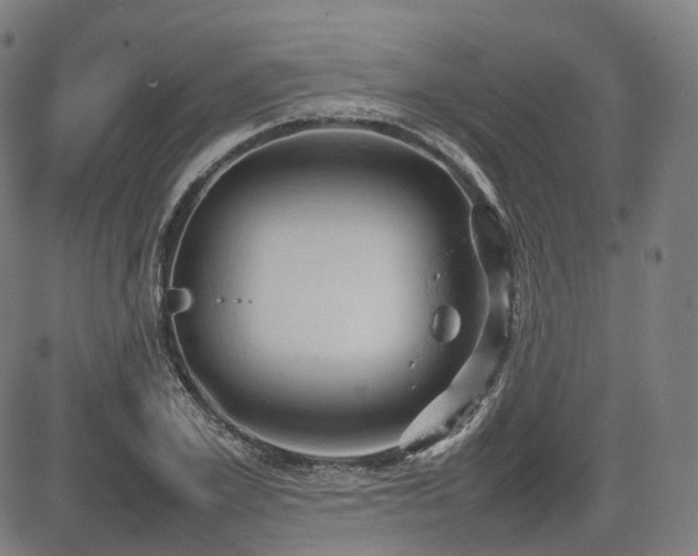 X0000085270981200703091347