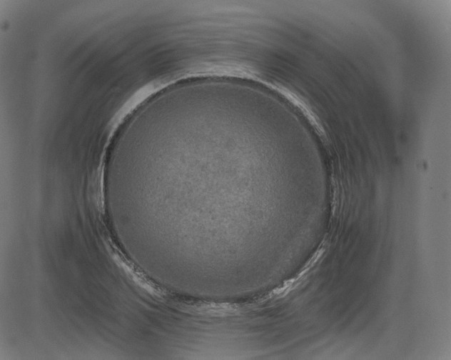 X0000085270982200703091347