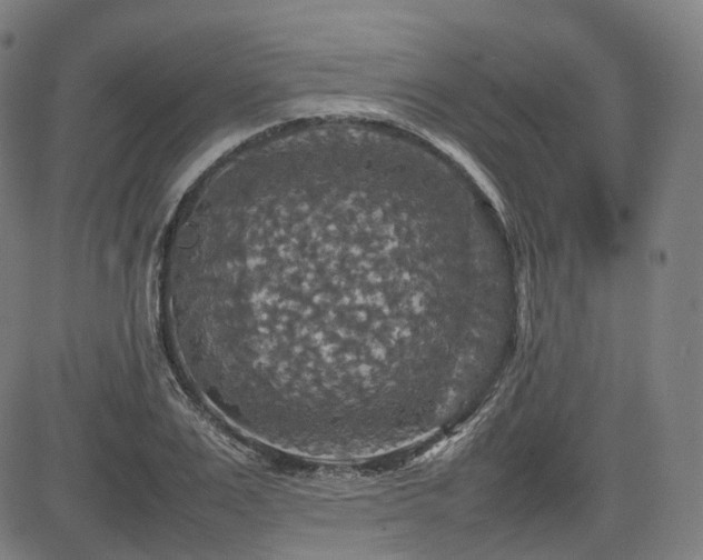 X0000085270983200703091347