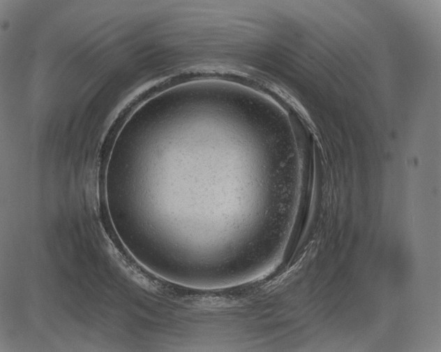 X0000085270984200703091347