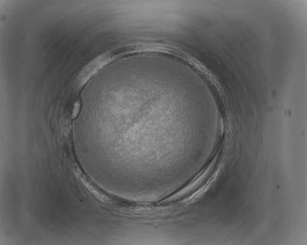 X0000085270985200703091347