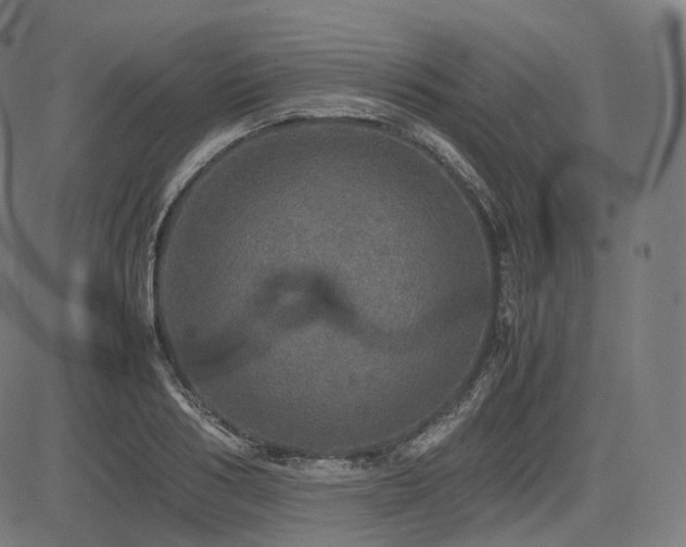 X0000085270986200703091347