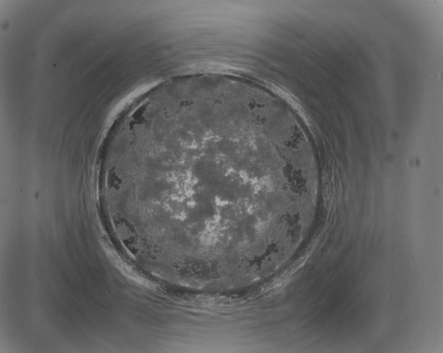 X0000085270987200703091347