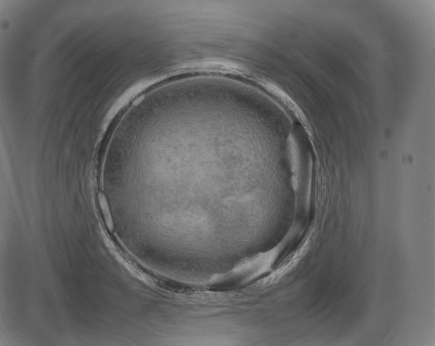 X0000085270989200703091347