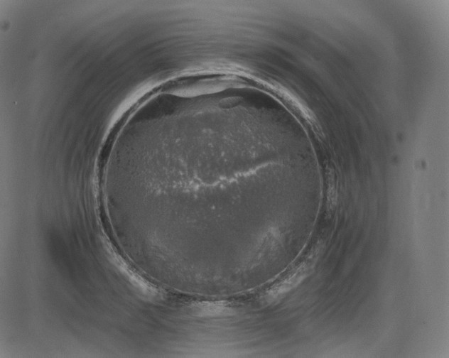 X0000085270990200703091347