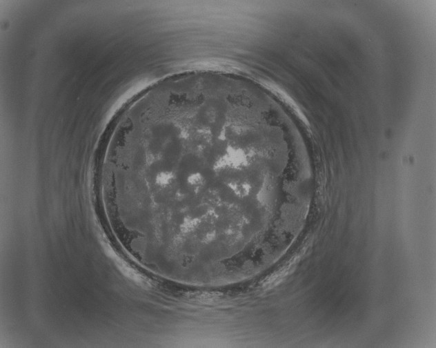 X0000085270991200703091347