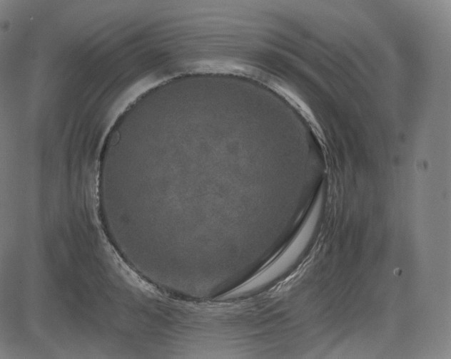 X0000085270992200703091347