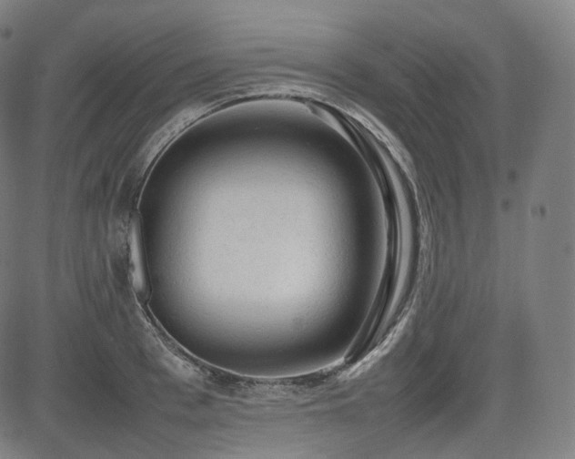 X0000085270993200703091347