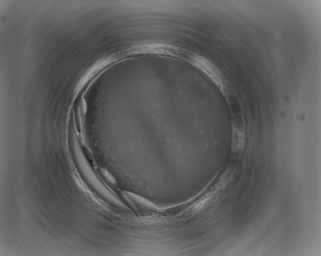 X0000085270994200703091347