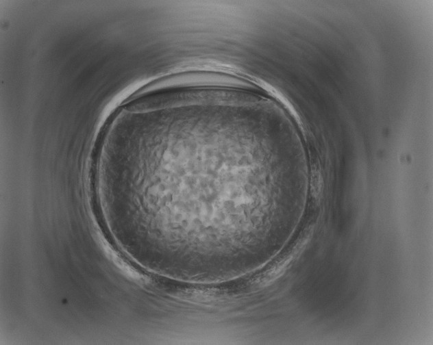 X0000085270995200703091347