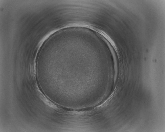 X0000085270996200703091347