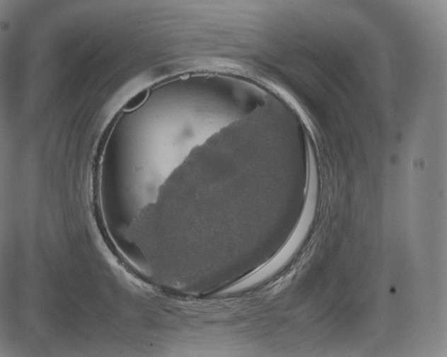 X0000085270999200703091347