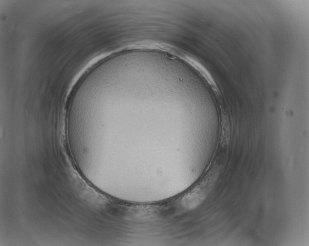 X0000085271000200703091347