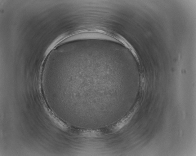 X0000085271002200703091347