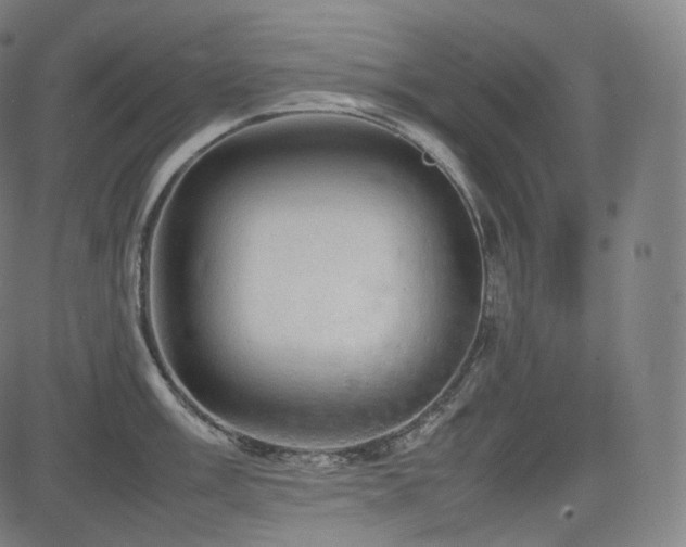 X0000085271003200703091347