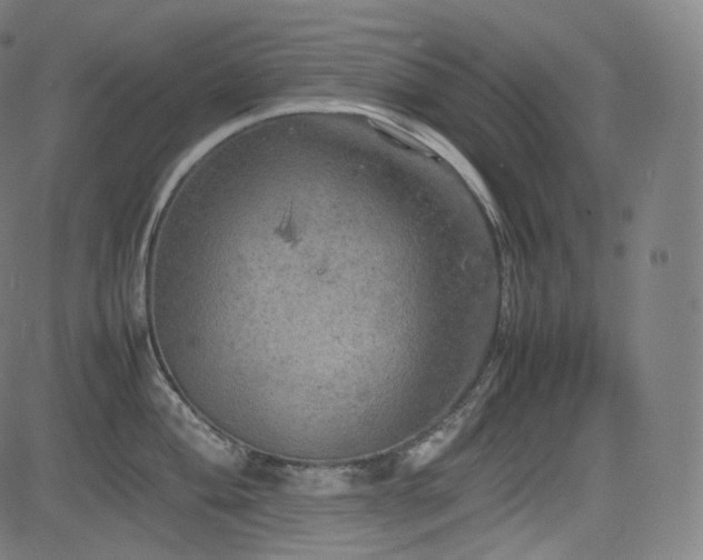 X0000085271004200703091347