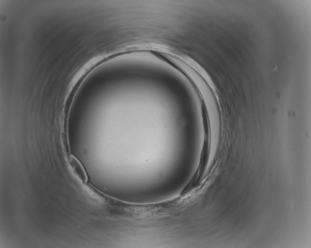 X0000085271005200703091347