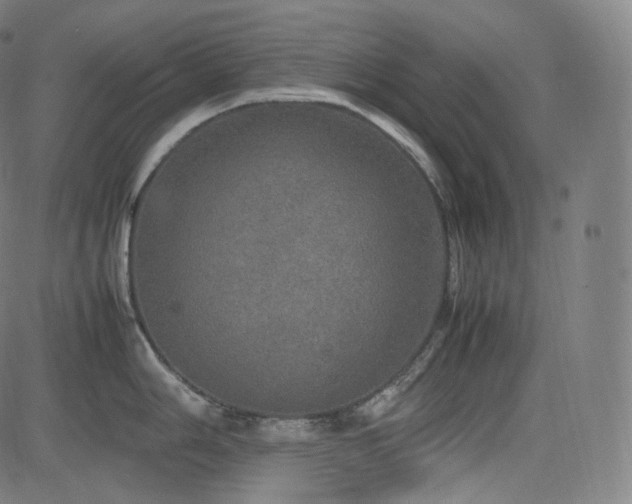 X0000085271006200703091347