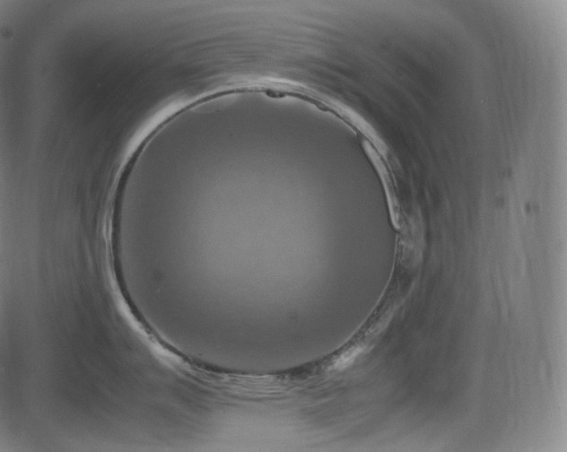 X0000085271007200703091347