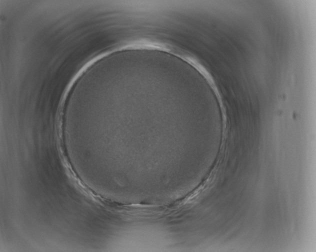 X0000085271008200703091347