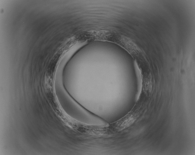 X0000085271010200703091346