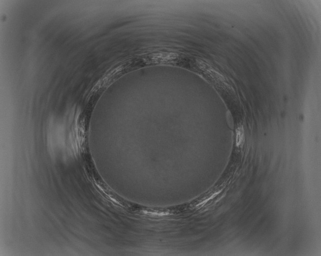 X0000085271011200703091346