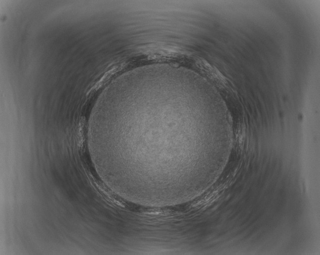 X0000085271012200703091346