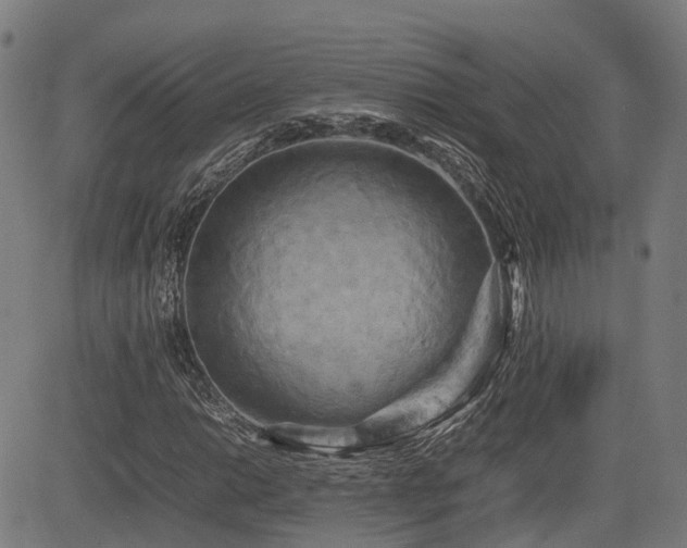 X0000085271014200703091346