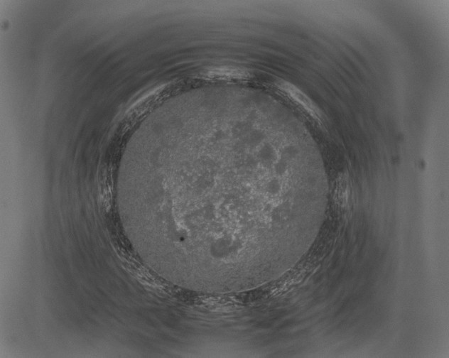 X0000085271015200703091346