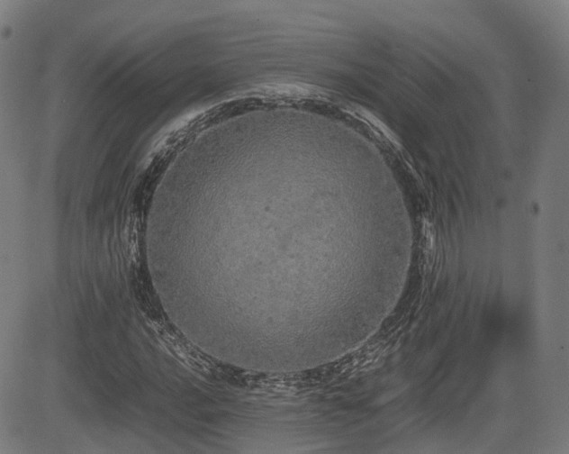 X0000085271016200703091346