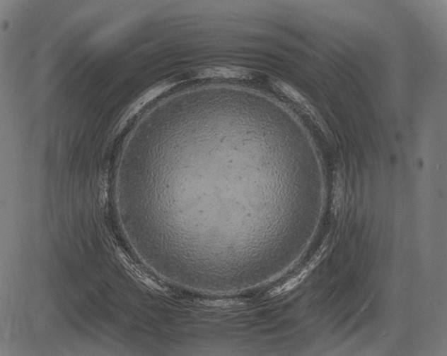 X0000085271017200703091346