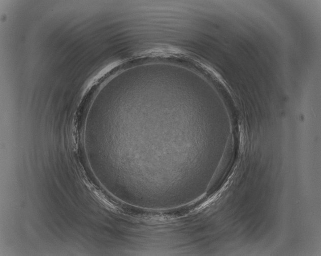 X0000085271018200703091346