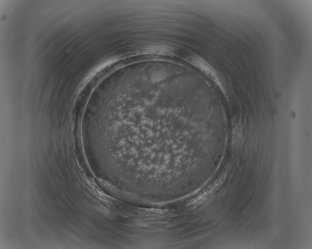 X0000085271019200703091346